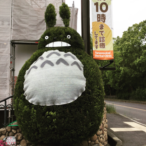 いぶき_c0124828_05244107.jpg