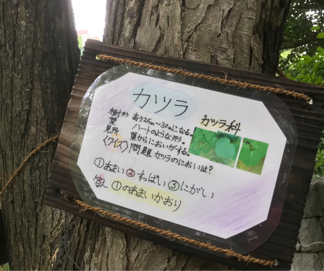 公園でジョギング２_e0184929_10093673.jpg