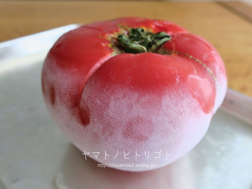 スパイスカレー_e0394031_06162543.jpg