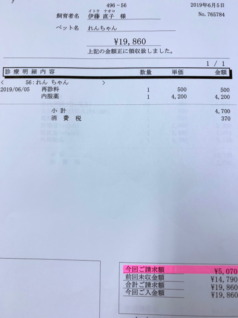 れんちゃん医療費の収支報告とお洋服事情。_d0355333_13444923.jpg