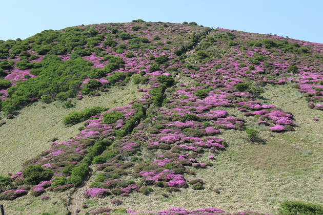 e0272335_514090.jpg