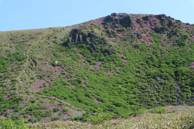e0272335_518145.jpg