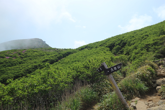 e0272335_519292.jpg
