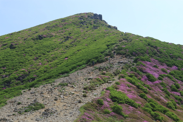 e0272335_5232162.jpg