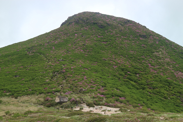 e0272335_541182.jpg