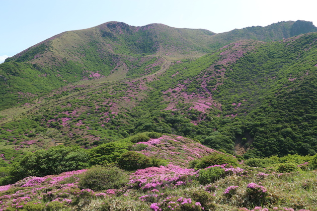 e0272335_594470.jpg