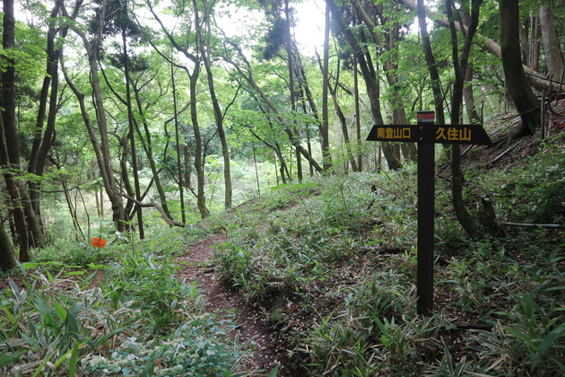 e0272335_8502575.jpg