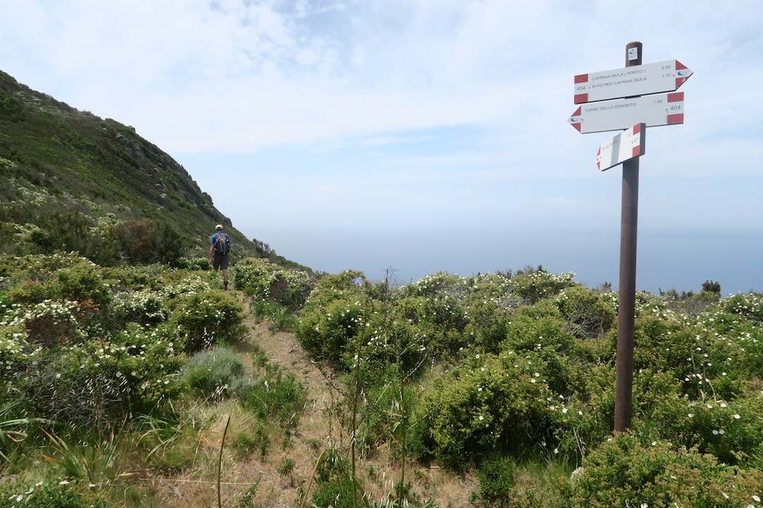 f0234936_5403565.jpg