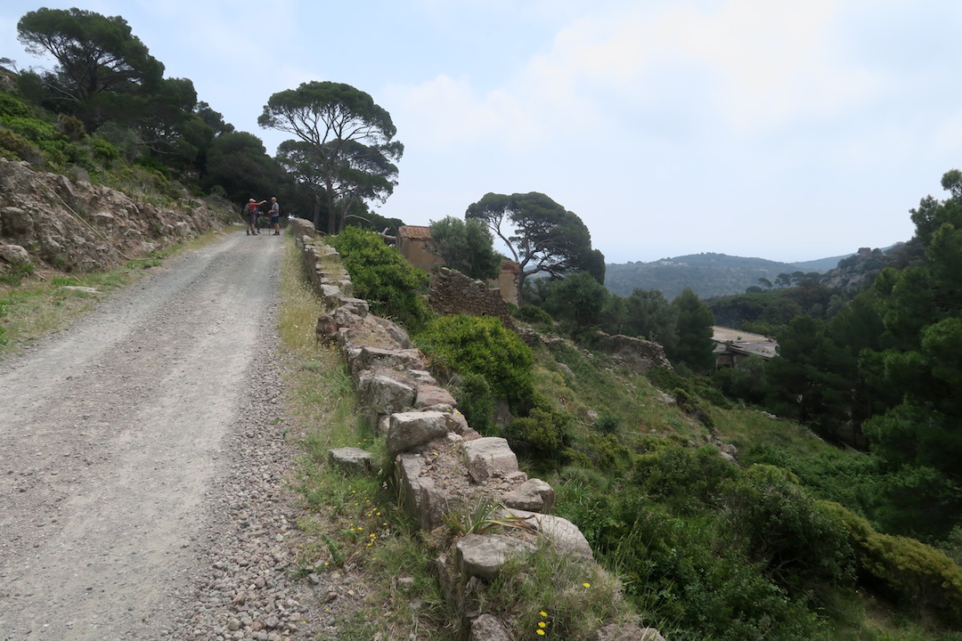 f0234936_5492161.jpg
