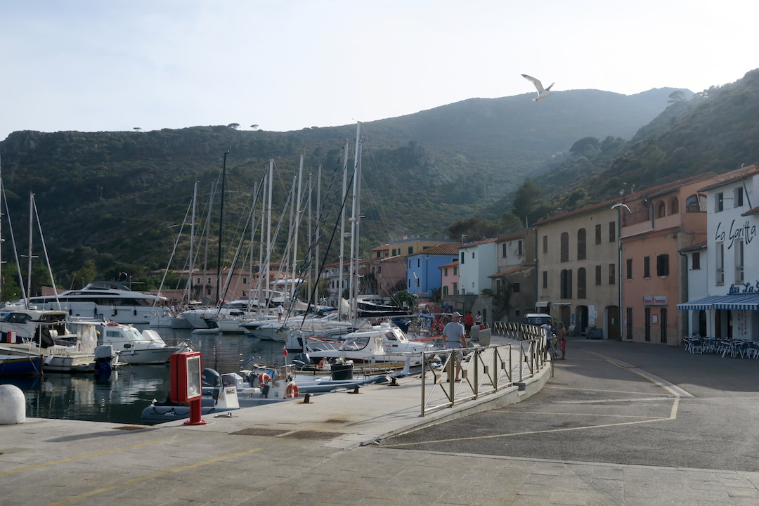 f0234936_5564945.jpg