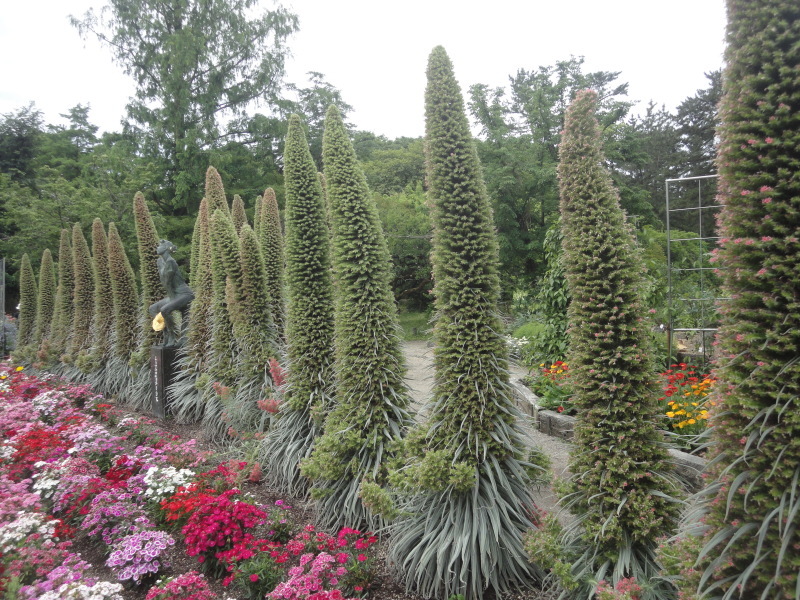 ”宝石の塔”　京都府立植物園_d0359338_17224383.jpg