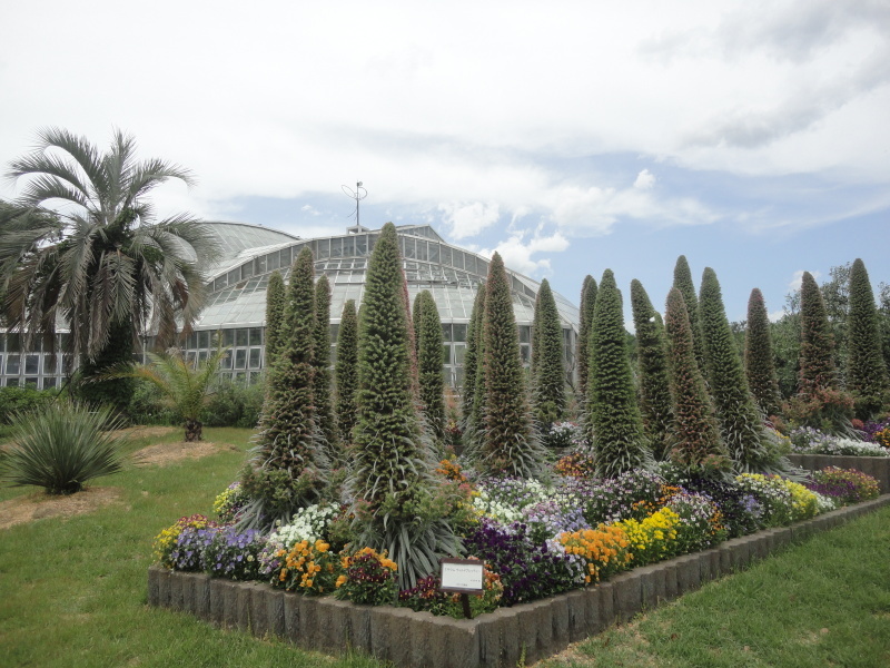 ”宝石の塔”　京都府立植物園_d0359338_17341016.jpg