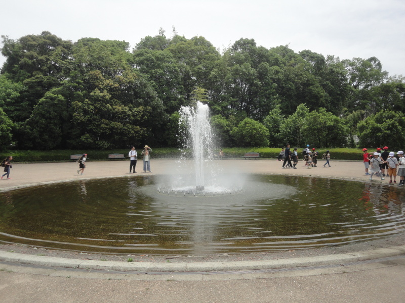 d0359338_21102341.jpg