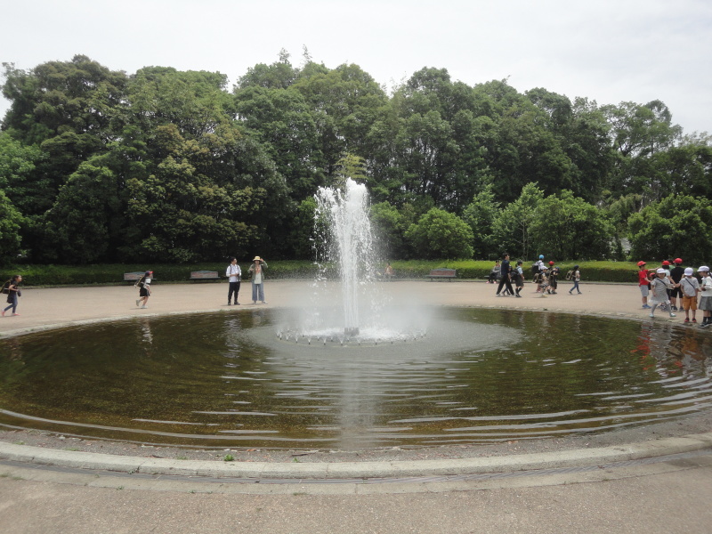 ”宝石の塔”　京都府立植物園_d0359338_21102341.jpg