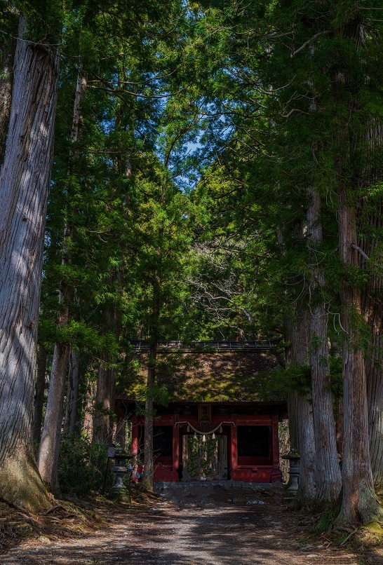 戸隠神社・奥社_e0363038_10171381.jpg