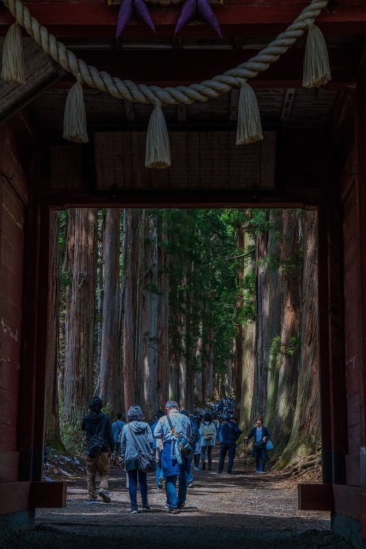 戸隠神社・奥社_e0363038_10171766.jpg