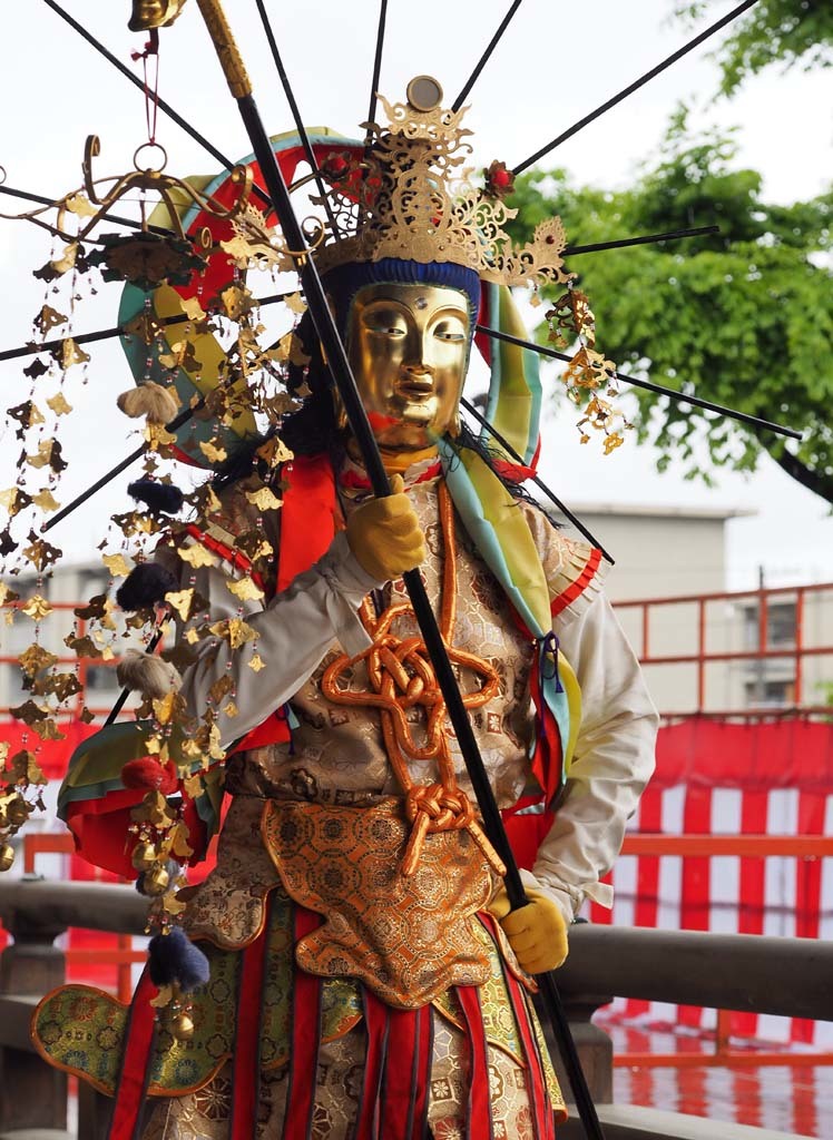 万部おねり 19 05 01 新 トラちゃん ちー 明日葉 観察日記