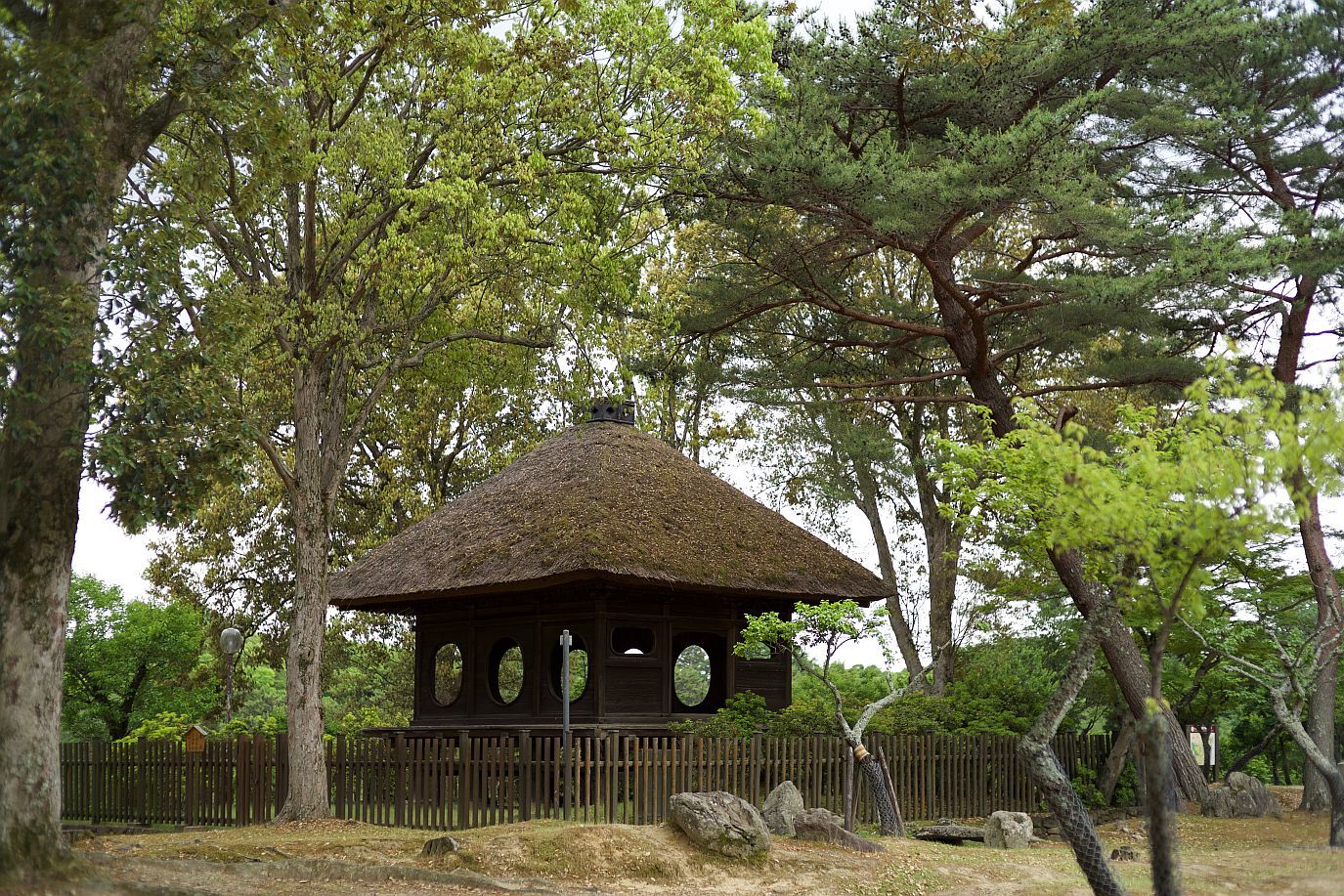 b0212342_05191350.jpg