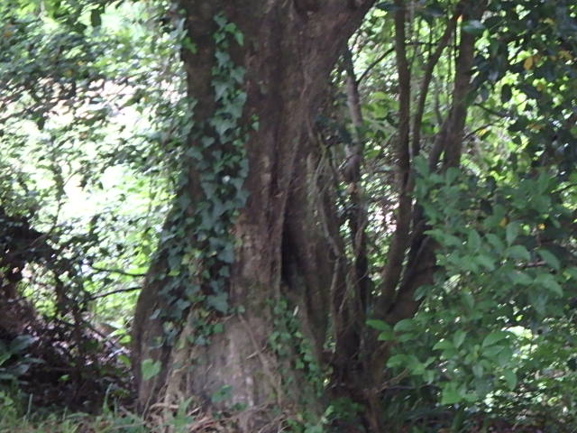 f0334143_200091.jpg