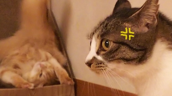 うらぁ~~!!_c0259945_16480629.jpg