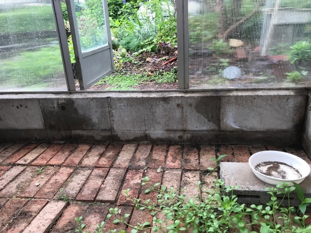 朦朧_d0101846_08121385.jpeg