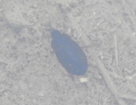 e0172950_2141467.jpg