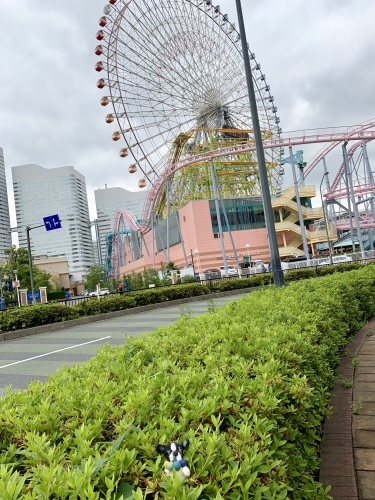 b0307951_23062144.jpg