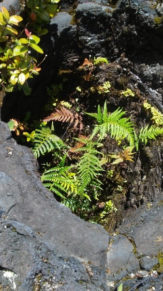 b0126453_05553564.jpg
