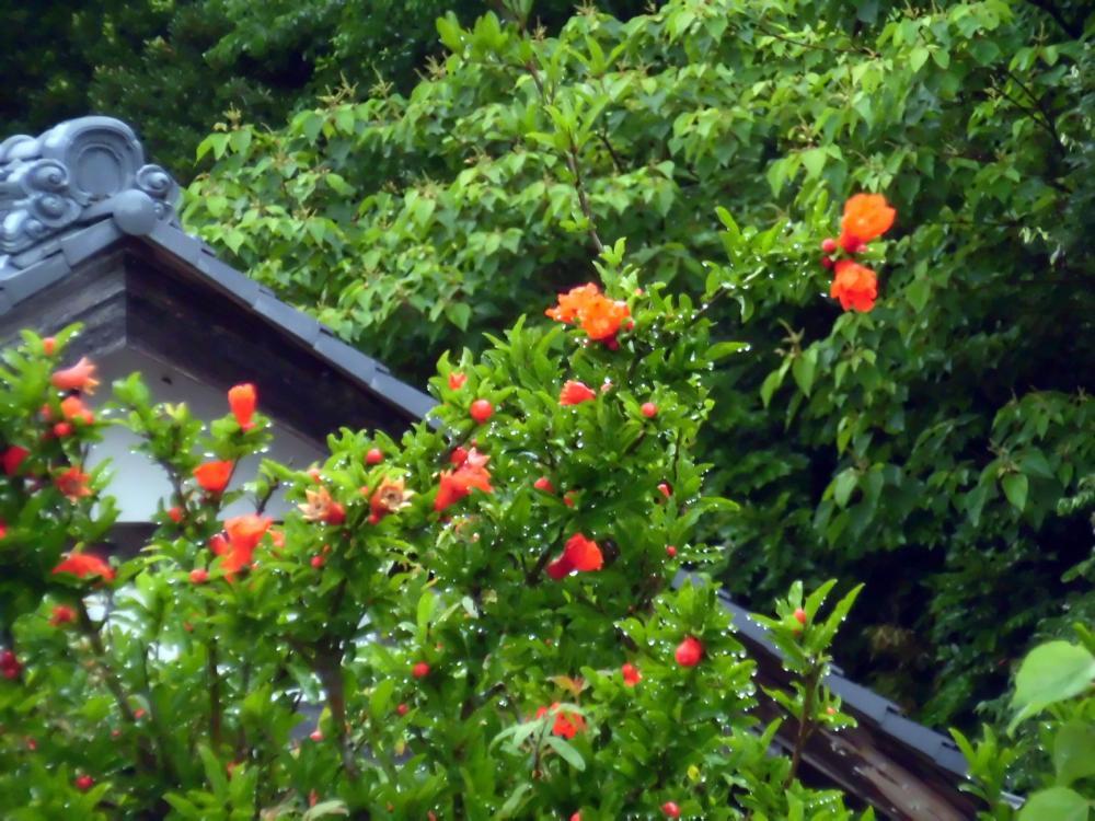 e0024554_00025399.jpg