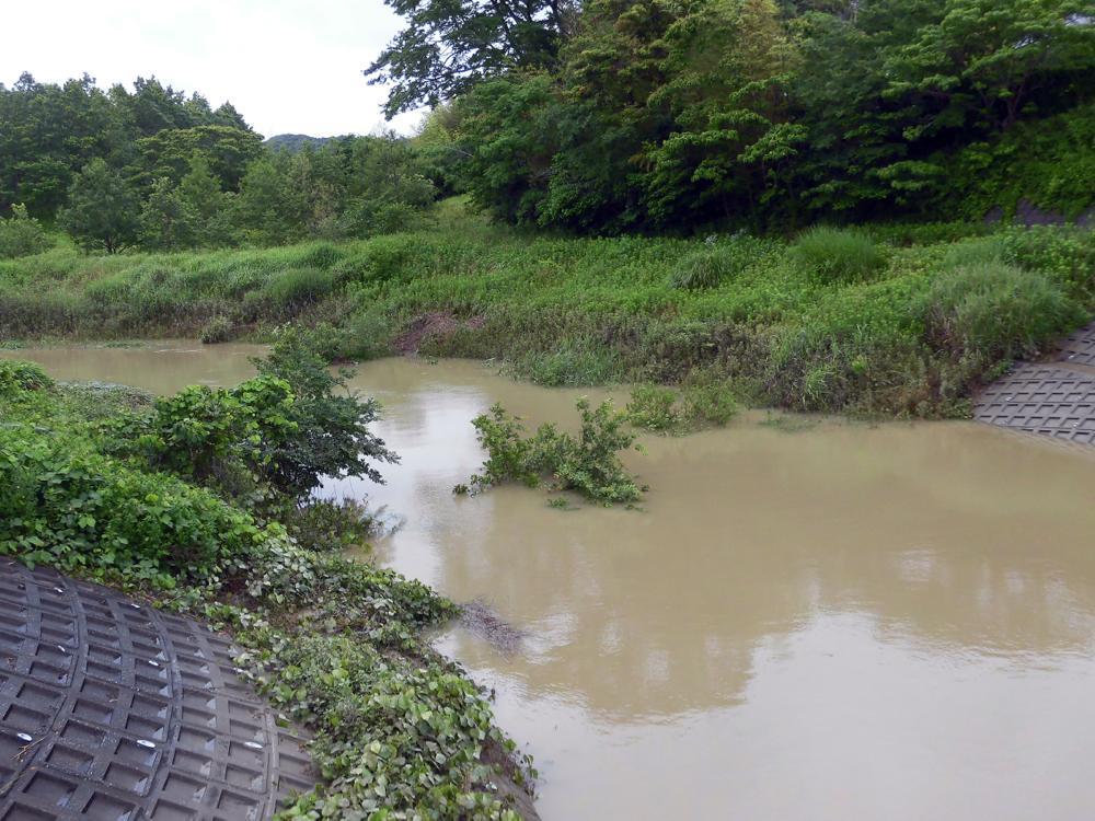 e0024554_00025580.jpg