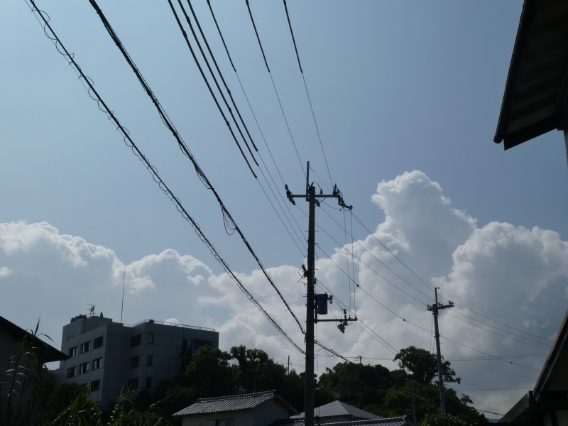 c0108460_14134358.jpg