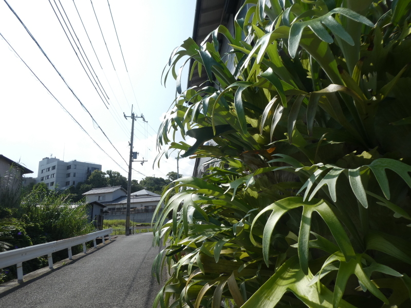 c0108460_14134452.jpg