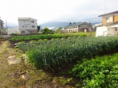 d0074063_07312681.jpg