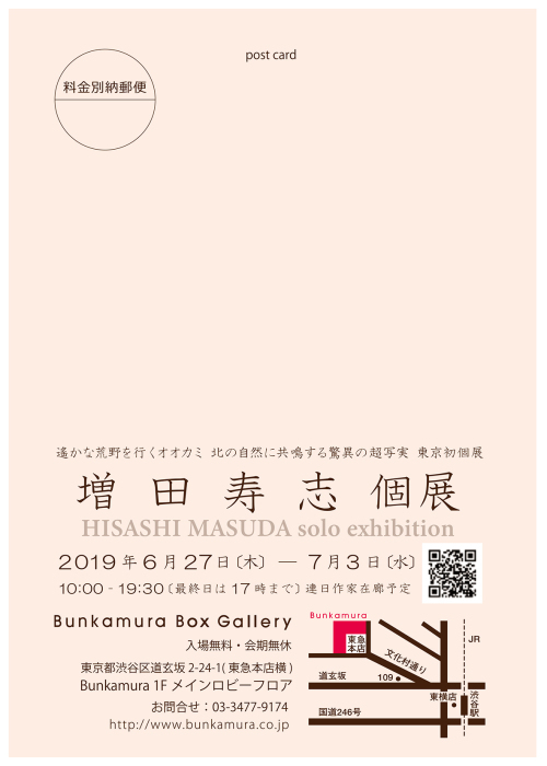 渋谷のBunkamura Box Galleryで6月27日から「増田寿志　個展」が始まります。_e0179266_22110855.jpg