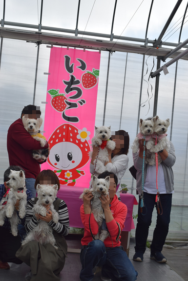 b0242873_12154529.png