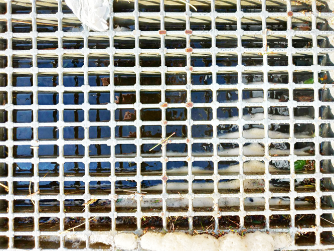 d0095673_17171261.jpg