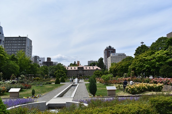 札幌資料館前の大通公園バラ園が満開です ワイン好きの料理おたく 雑記帳