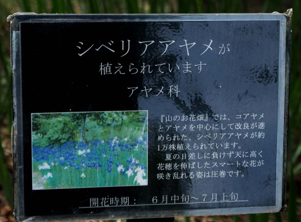 c0183777_854827.jpg