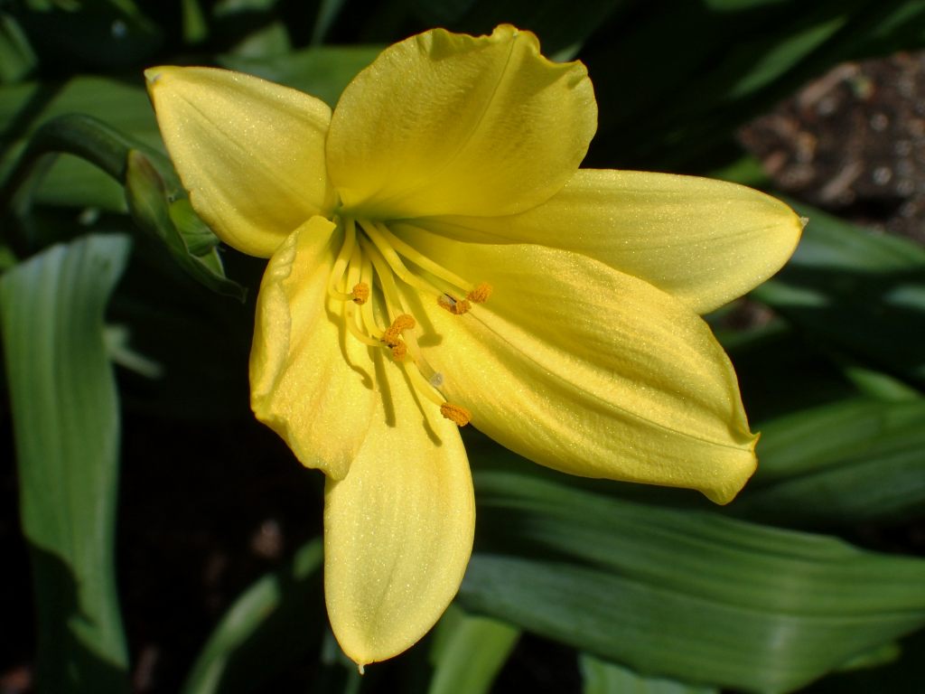 c0183777_8583224.jpg
