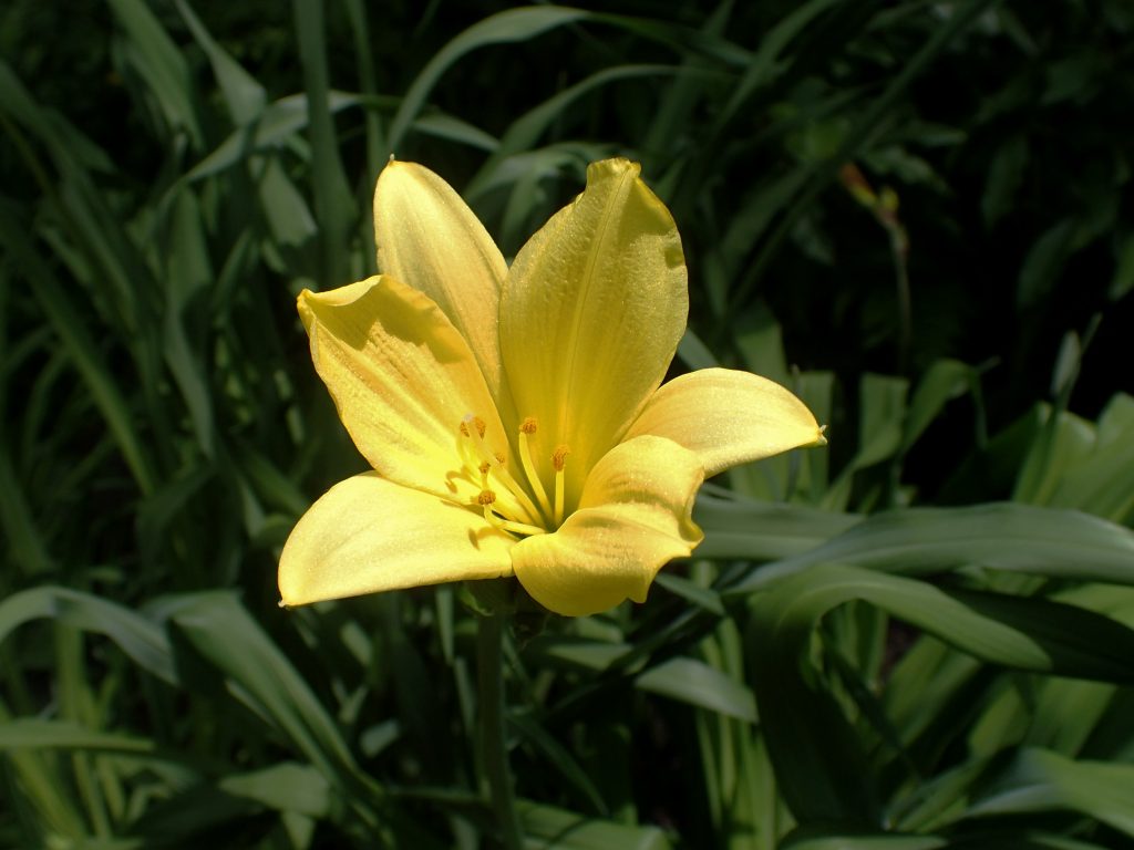 c0183777_85845100.jpg