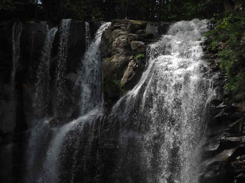 c0183777_931840.jpg