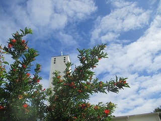 a0142083_09230686.jpg