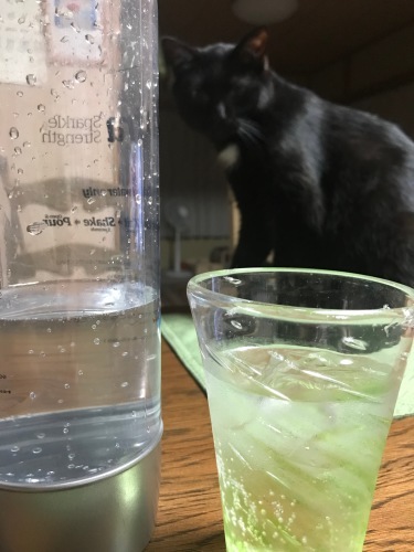 a0216583_23211967.jpeg