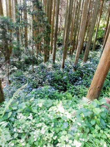 面取り小花器_d0195183_01060765.jpg