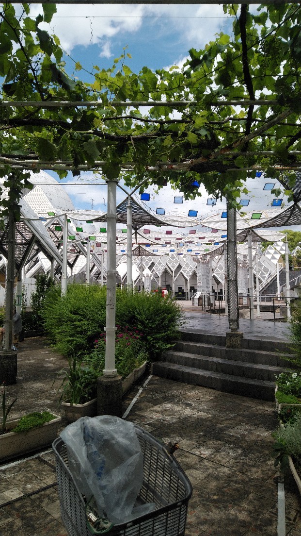 湘南台文化センター_b0404584_11332304.jpg