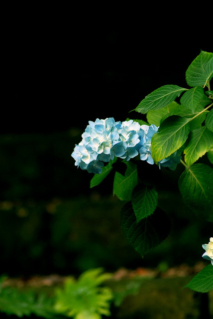 d0085887_01211142.jpg