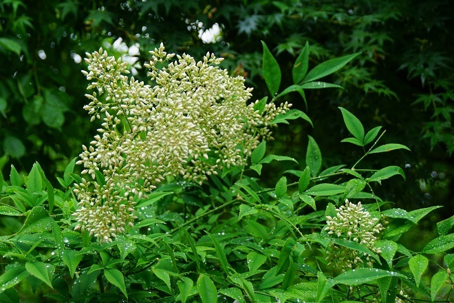 a0345188_01461272.jpg