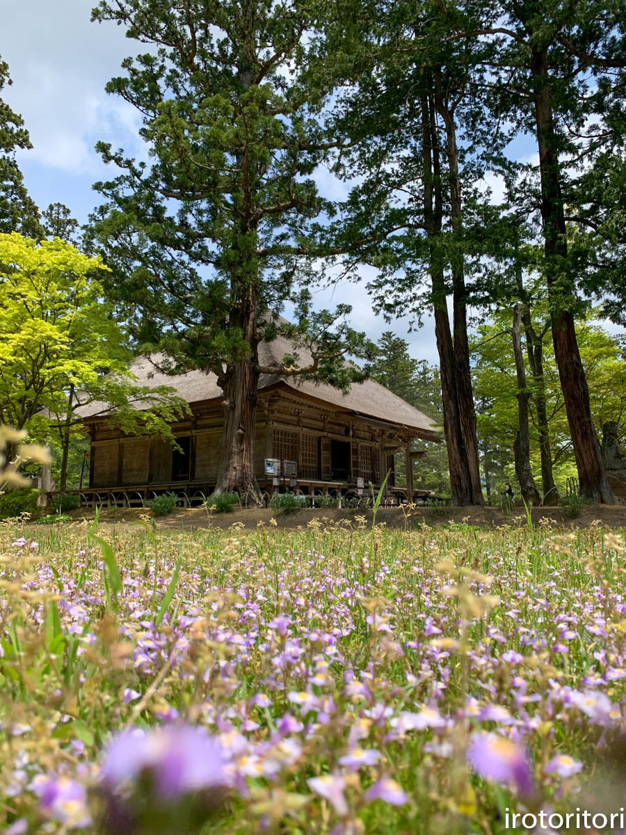 東北旅日記　その2  　2019/05/15_d0146592_23175477.jpg