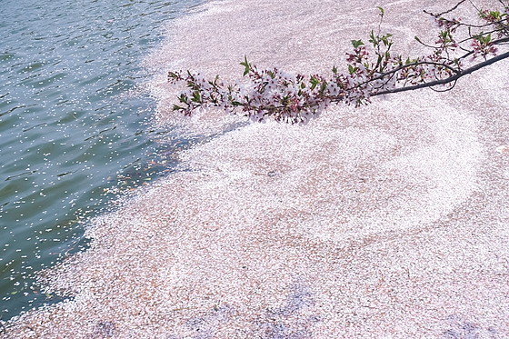 e0176993_09072118.jpg
