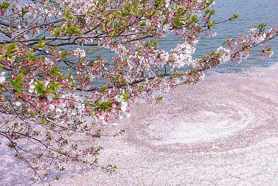 e0176993_09072278.jpg